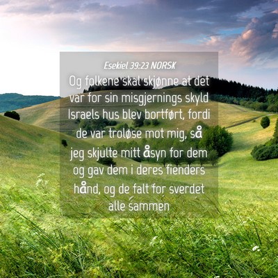 Picture 04 - Esekiel 39:23 NORSK - Og folkene skal skjønne at det var for sin - Bible Verse Picture