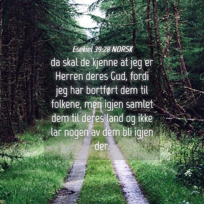 Picture 04 - Esekiel 39:28 NORSK - da skal de kjenne at jeg er Herren deres Gud, - Bible Verse Picture
