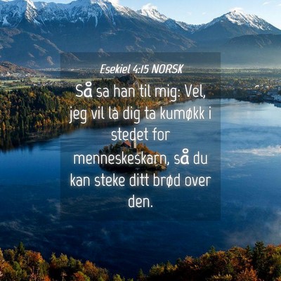 Picture 04 - Esekiel 4:15 NORSK - Så sa han til mig: Vel, jeg vil la dig ta - Bible Verse Picture