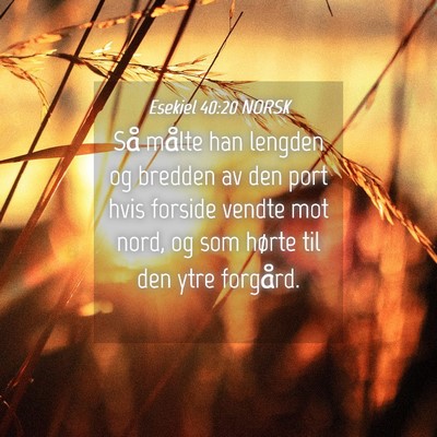 Picture 04 - Esekiel 40:20 NORSK - Så målte han lengden og bredden av den port - Bible Verse Picture