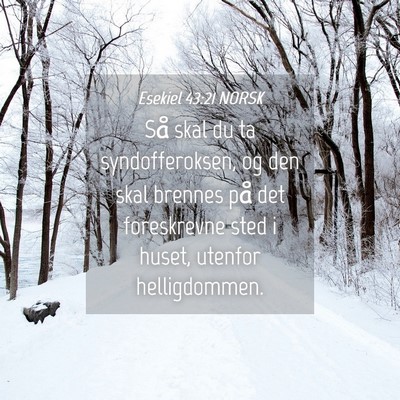 Picture 04 - Esekiel 43:21 NORSK - Så skal du ta syndofferoksen, og den skal - Bible Verse Picture