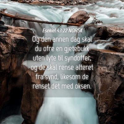 Picture 04 - Esekiel 43:22 NORSK - Og den annen dag skal du ofre en gjetebukk uten - Bible Verse Picture