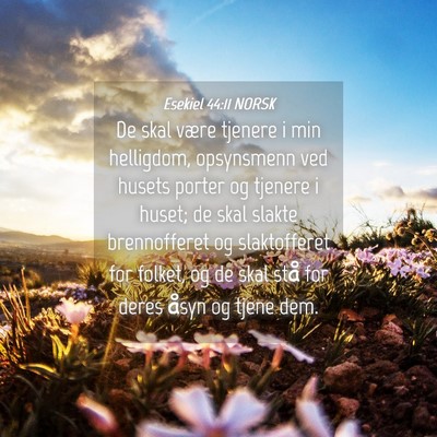 Picture 04 - Esekiel 44:11 NORSK - De skal være tjenere i min helligdom, opsynsmenn - Bible Verse Picture