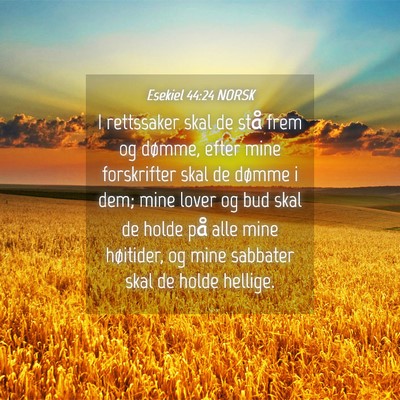 Picture 04 - Esekiel 44:24 NORSK - I rettssaker skal de stå frem og dømme, efter - Bible Verse Picture