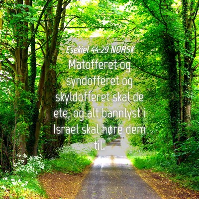 Picture 04 - Esekiel 44:29 NORSK - Matofferet og syndofferet og skyldofferet skal de - Bible Verse Picture
