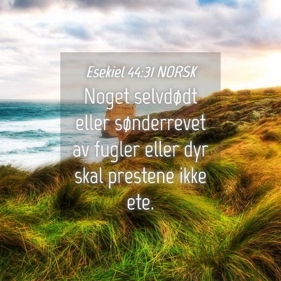 Picture 04 - Esekiel 44:31 NORSK - Noget selvdødt eller sønderrevet av fugler - Bible Verse Picture