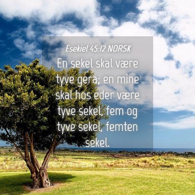 Picture 04 - Esekiel 45:12 NORSK - En sekel skal være tyve gera; en mine skal hos - Bible Verse Picture