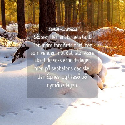 Picture 04 - Esekiel 46:1 NORSK - Så sier Herren, Israels Gud: Den indre forgårds - Bible Verse Picture