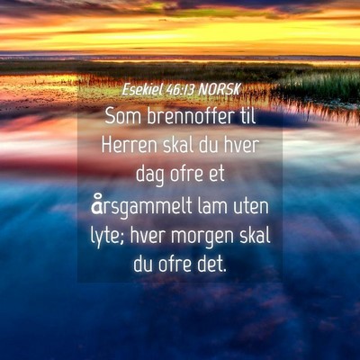 Picture 04 - Esekiel 46:13 NORSK - Som brennoffer til Herren skal du hver dag ofre - Bible Verse Picture
