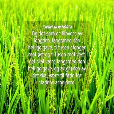 Picture 04 - Esekiel 48:18 NORSK - Og det som er tilovers av lengden, langsmed den - Bible Verse Picture
