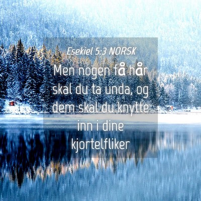 Picture 04 - Esekiel 5:3 NORSK - Men nogen få hår skal du ta unda, og dem skal - Bible Verse Picture