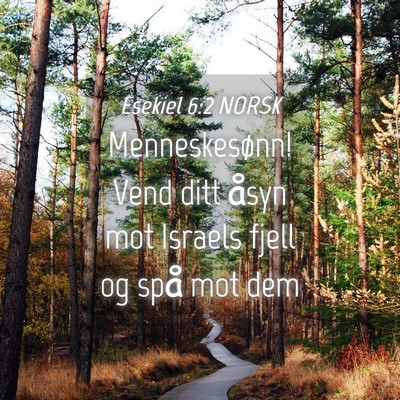 Picture 04 - Esekiel 6:2 NORSK - Menneskesønn! Vend ditt åsyn mot Israels fjell - Bible Verse Picture