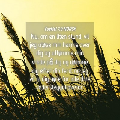 Picture 04 - Esekiel 7:8 NORSK - Nu, om en liten stund, vil jeg utøse min harme - Bible Verse Picture