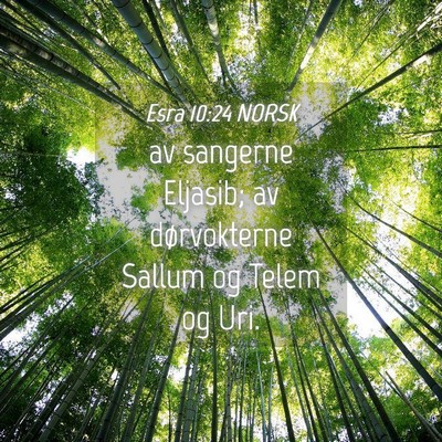 Picture 04 - Esra 10:24 NORSK - av sangerne Eljasib; av dørvokterne Sallum og - Bible Verse Picture
