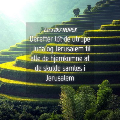 Picture 04 - Esra 10:7 NORSK - Derefter lot de utrope i Juda og Jerusalem til - Bible Verse Picture