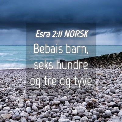 Picture 04 - Esra 2:11 NORSK - Bebais barn, seks hundre og tre og - Bible Verse Picture
