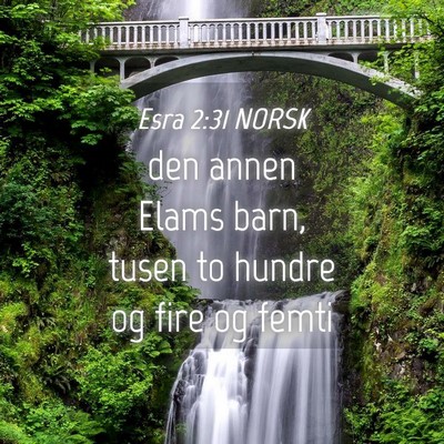 Picture 04 - Esra 2:31 NORSK - den annen Elams barn, tusen to hundre og fire og - Bible Verse Picture