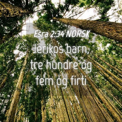 Picture 04 - Esra 2:34 NORSK - Jerikos barn, tre hundre og fem og - Bible Verse Picture