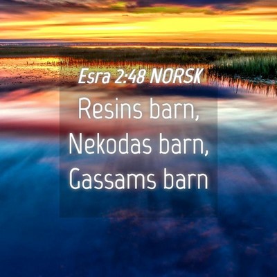 Picture 04 - Esra 2:48 NORSK - Resins barn, Nekodas barn, Gassams - Bible Verse Picture