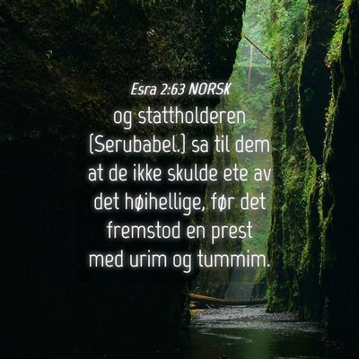 Picture 04 - Esra 2:63 NORSK - og stattholderen {Serubabel.} sa til dem at de - Bible Verse Picture
