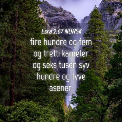 Picture 04 - Esra 2:67 NORSK - fire hundre og fem og tretti kameler og seks - Bible Verse Picture