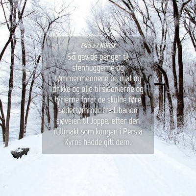 Picture 04 - Esra 3:7 NORSK - Så gav de penger til stenhuggerne og - Bible Verse Picture