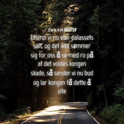 Picture 04 - Esra 4:14 NORSK - Efterdi vi nu eter palassets salt, og det ikke - Bible Verse Picture
