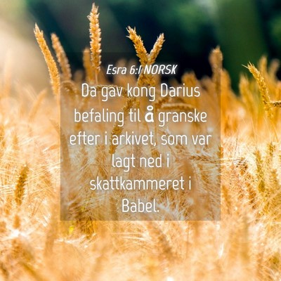 Picture 04 - Esra 6:1 NORSK - Da gav kong Darius befaling til å granske efter - Bible Verse Picture