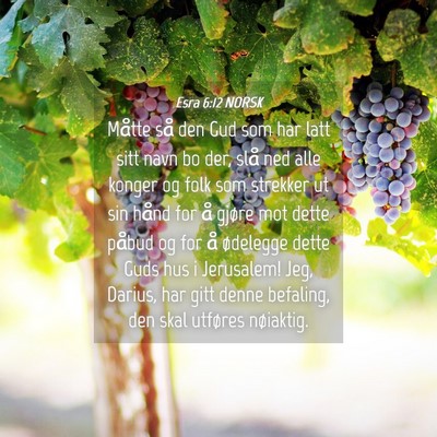 Picture 04 - Esra 6:12 NORSK - Måtte så den Gud som har latt sitt navn bo der, - Bible Verse Picture