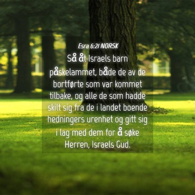 Picture 04 - Esra 6:21 NORSK - Så åt Israels barn påskelammet, både de av de - Bible Verse Picture