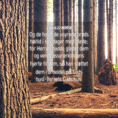 Picture 04 - Esra 6:22 NORSK - Og de holdt de usyrede brøds høitid i syv dager - Bible Verse Picture