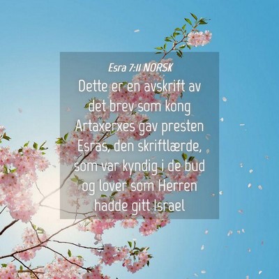 Picture 04 - Esra 7:11 NORSK - Dette er en avskrift av det brev som kong - Bible Verse Picture