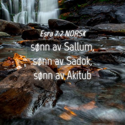 Picture 04 - Esra 7:2 NORSK - sønn av Sallum, sønn av Sadok, sønn av - Bible Verse Picture