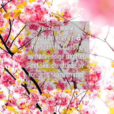 Picture 04 - Esra 7:20 NORSK - Hvad du ellers må utrede til din Guds hus av - Bible Verse Picture