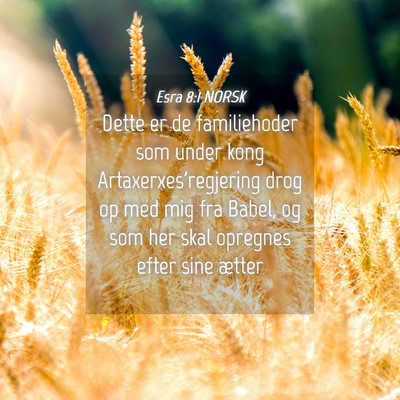Picture 04 - Esra 8:1 NORSK - Dette er de familiehoder som under kong - Bible Verse Picture
