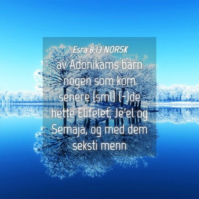 Picture 04 - Esra 8:13 NORSK - av Adonikams barn nogen som kom senere {sml} - Bible Verse Picture