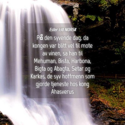 Picture 04 - Ester 1:10 NORSK - På den syvende dag, da kongen var blitt vel til - Bible Verse Picture