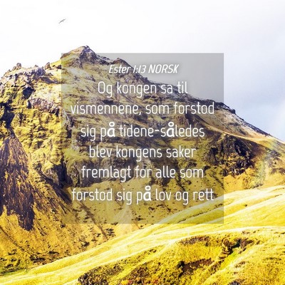 Picture 04 - Ester 1:13 NORSK - Og kongen sa til vismennene, som forstod sig på - Bible Verse Picture