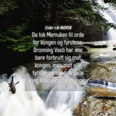 Picture 04 - Ester 1:16 NORSK - Da tok Memukan til orde for kongen og fyrstene: - Bible Verse Picture