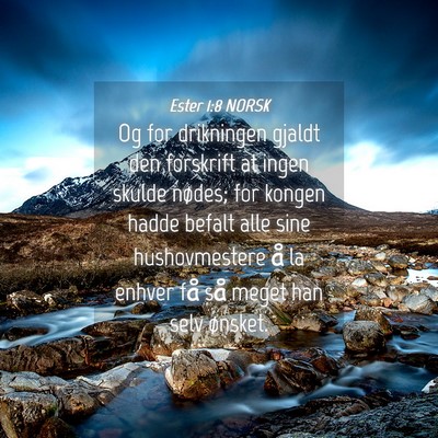 Picture 04 - Ester 1:8 NORSK - Og for drikningen gjaldt den forskrift at ingen - Bible Verse Picture