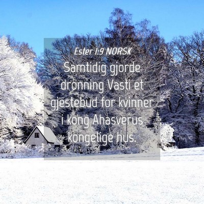 Picture 04 - Ester 1:9 NORSK - Samtidig gjorde dronning Vasti et gjestebud for - Bible Verse Picture