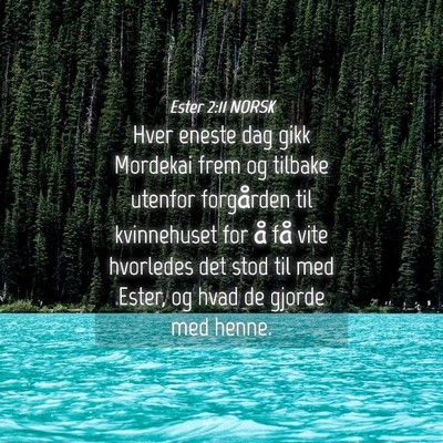 Picture 04 - Ester 2:11 NORSK - Hver eneste dag gikk Mordekai frem og tilbake - Bible Verse Picture