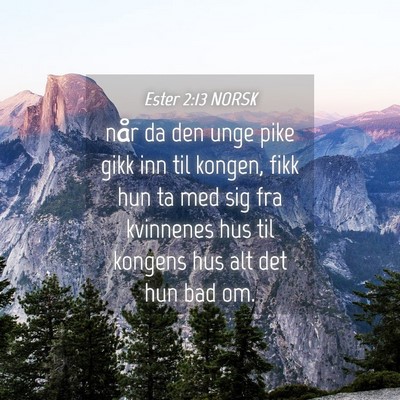 Picture 04 - Ester 2:13 NORSK - når da den unge pike gikk inn til kongen, fikk - Bible Verse Picture