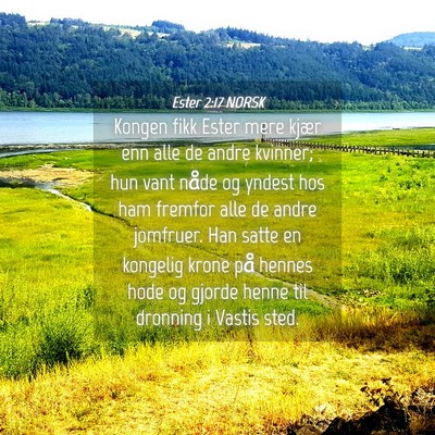 Picture 04 - Ester 2:17 NORSK - Kongen fikk Ester mere kjær enn alle de andre - Bible Verse Picture