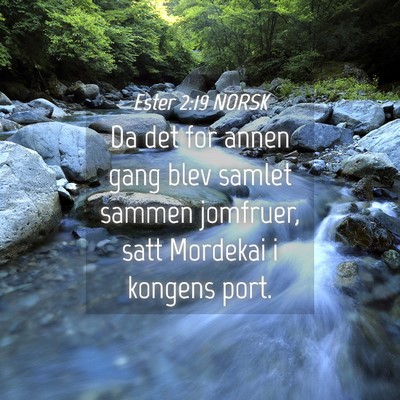 Picture 04 - Ester 2:19 NORSK - Da det for annen gang blev samlet sammen - Bible Verse Picture