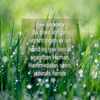 Picture 04 - Ester 3:10 NORSK - Da trakk kongen signetringen av sin hånd og gav - Bible Verse Picture