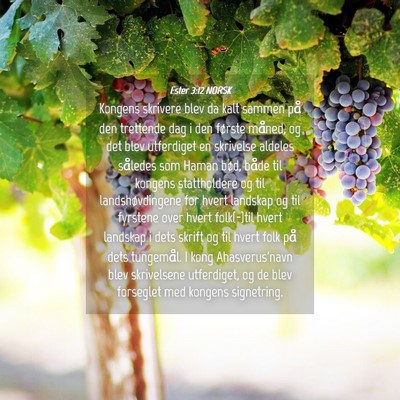 Picture 04 - Ester 3:12 NORSK - Kongens skrivere blev da kalt sammen på den - Bible Verse Picture