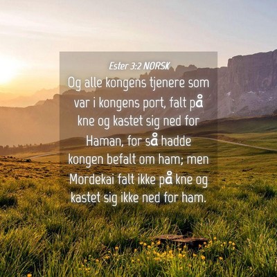 Picture 04 - Ester 3:2 NORSK - Og alle kongens tjenere som var i kongens port, - Bible Verse Picture