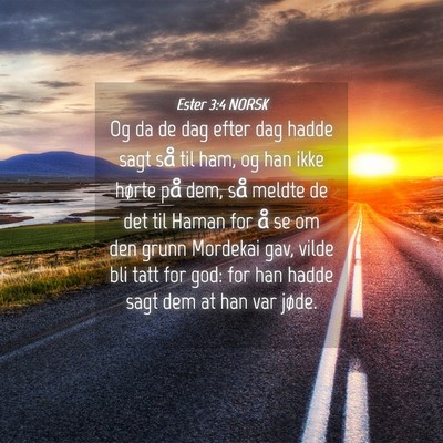 Picture 04 - Ester 3:4 NORSK - Og da de dag efter dag hadde sagt så til ham, og - Bible Verse Picture