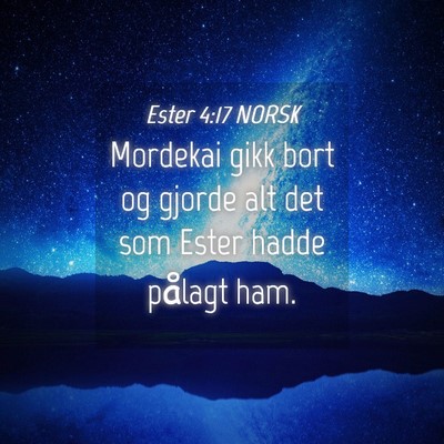 Picture 04 - Ester 4:17 NORSK - Mordekai gikk bort og gjorde alt det som Ester - Bible Verse Picture